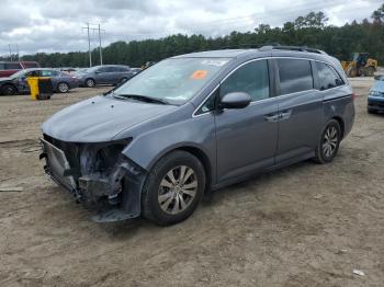  Salvage Honda Odyssey