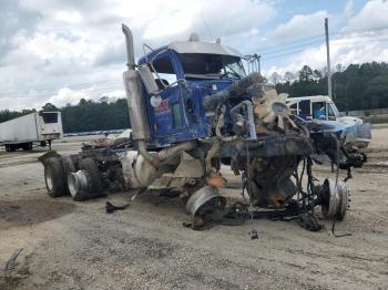  Salvage Peterbilt 389