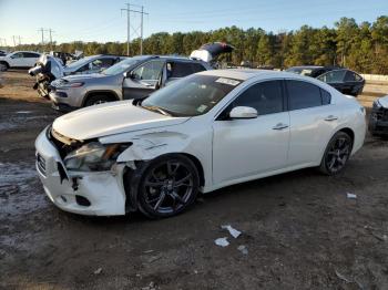  Salvage Nissan Maxima