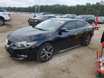  Salvage Nissan Maxima