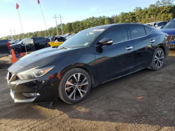  Salvage Nissan Maxima