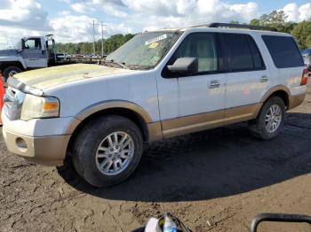  Salvage Ford Expedition