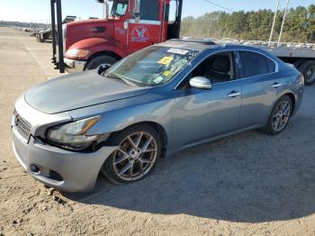  Salvage Nissan Maxima