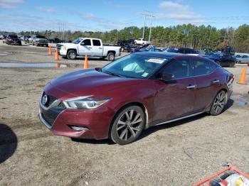  Salvage Nissan Maxima