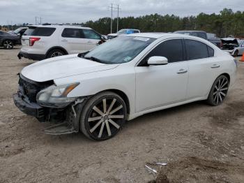  Salvage Nissan Maxima