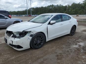  Salvage Acura TLX