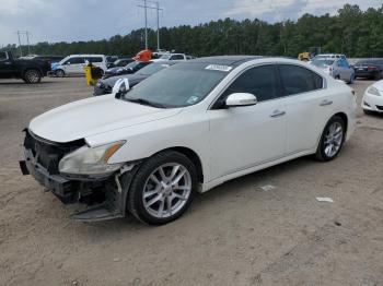  Salvage Nissan Maxima