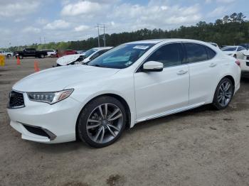  Salvage Acura TLX