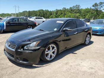  Salvage Nissan Maxima