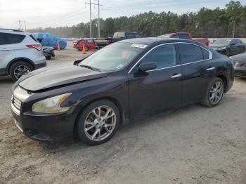  Salvage Nissan Maxima