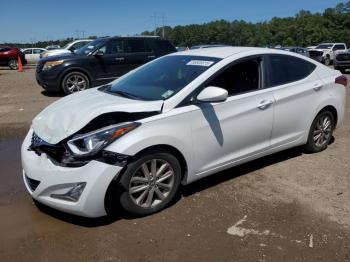  Salvage Hyundai ELANTRA
