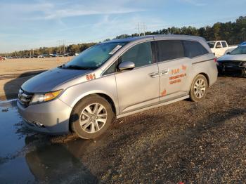  Salvage Honda Odyssey