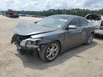  Salvage Nissan Maxima