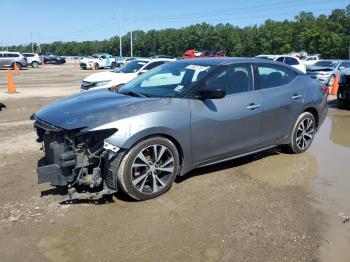  Salvage Nissan Maxima