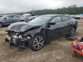  Salvage Nissan Maxima