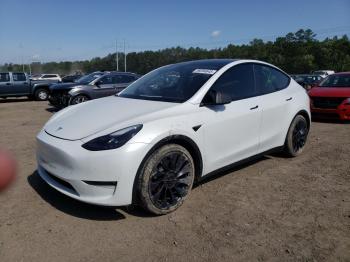  Salvage Tesla Model Y