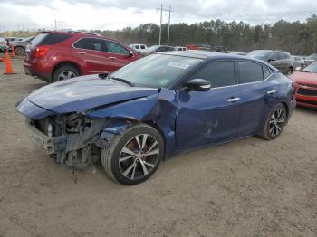  Salvage Nissan Maxima