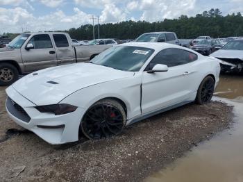  Salvage Ford Mustang