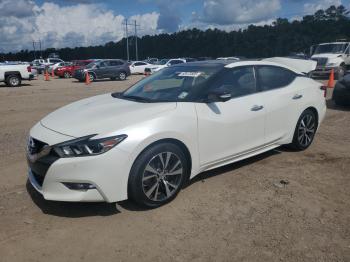  Salvage Nissan Maxima