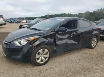  Salvage Hyundai ELANTRA