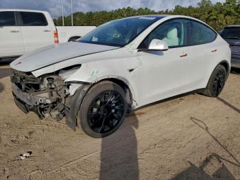  Salvage Tesla Model Y