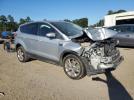 Ford Escape Sel Image 6