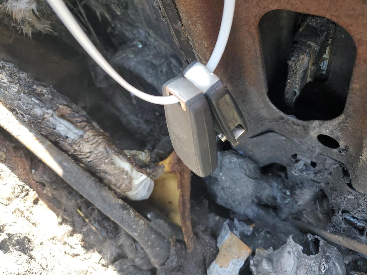 Chevrolet Impala Premier Image 7