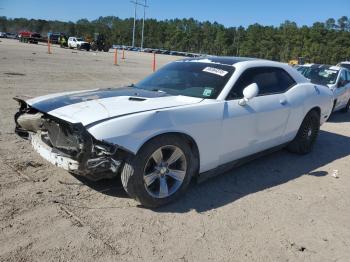  Salvage Dodge Challenger