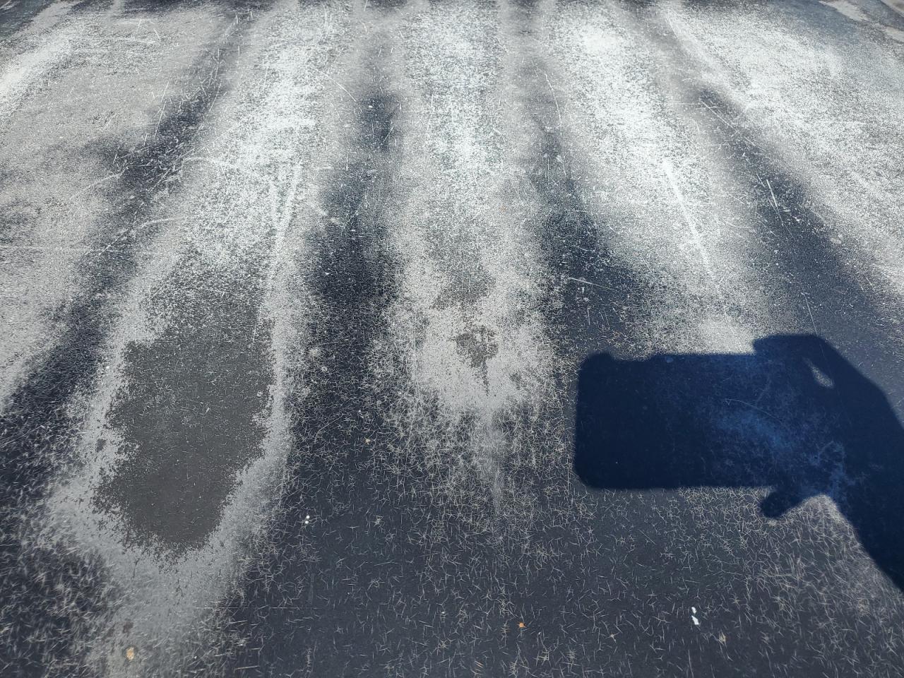 Chevrolet Silverado C1500 Image 12