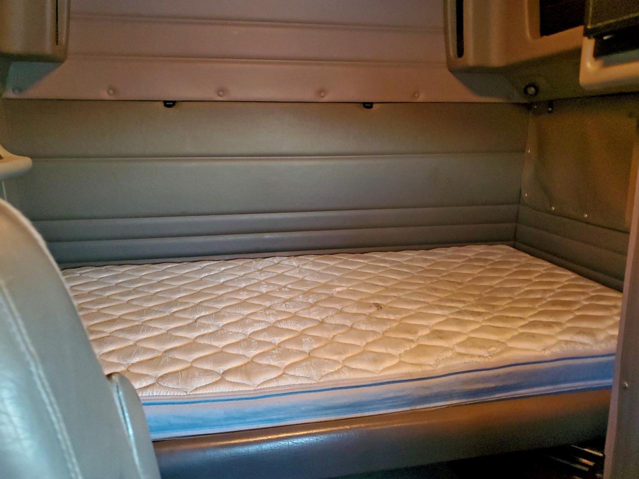 Peterbilt 389 Image 10