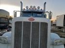 Peterbilt 389 Image 4