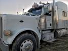 Peterbilt 389 Image 6