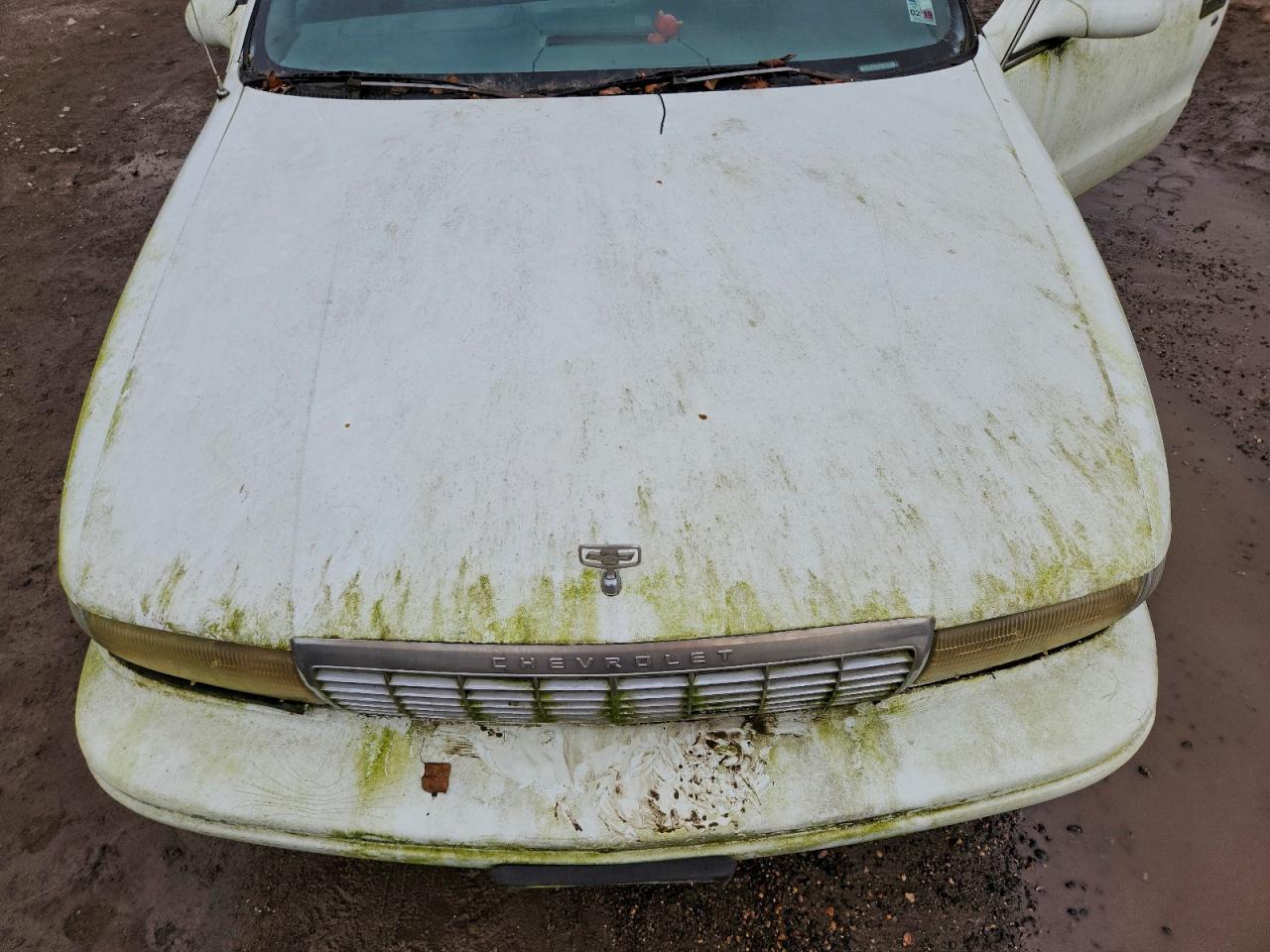 Chevrolet Caprice Classic Ss Image 4