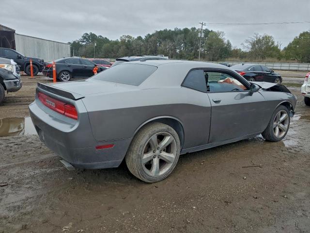 Dodge Challenger R/t Image 2