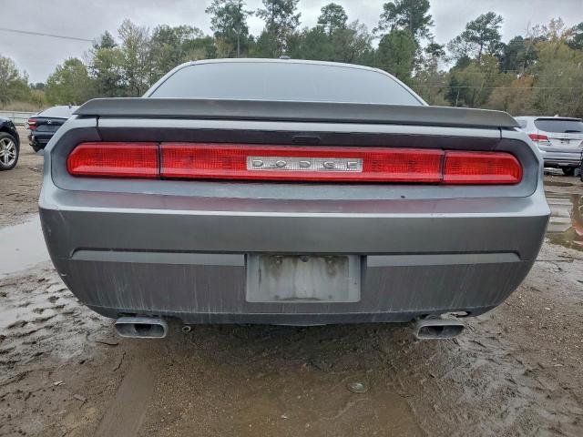 Dodge Challenger R/t Image 7