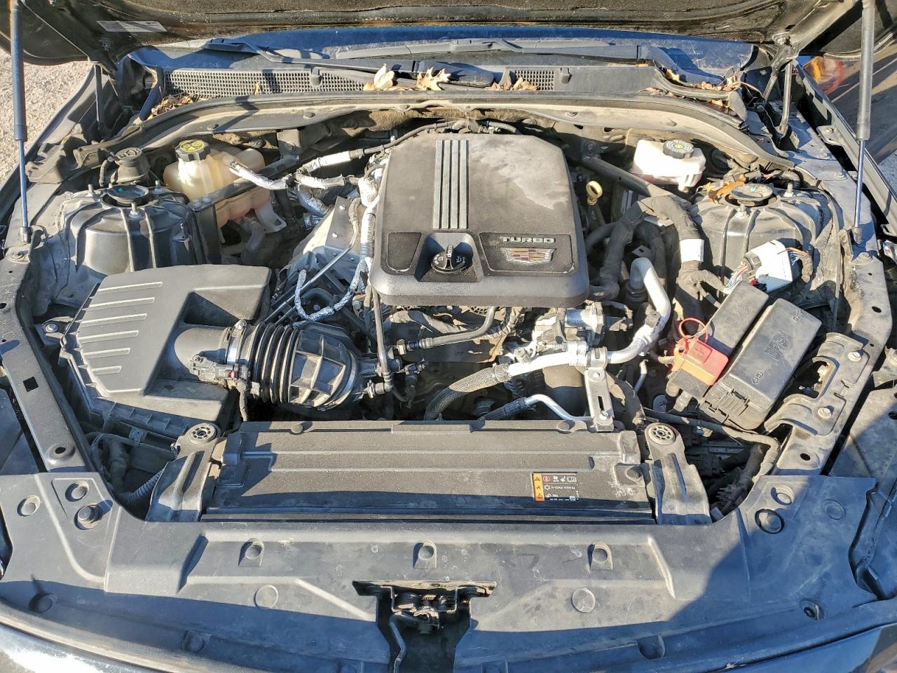 Cadillac CT5 Luxury Image 12