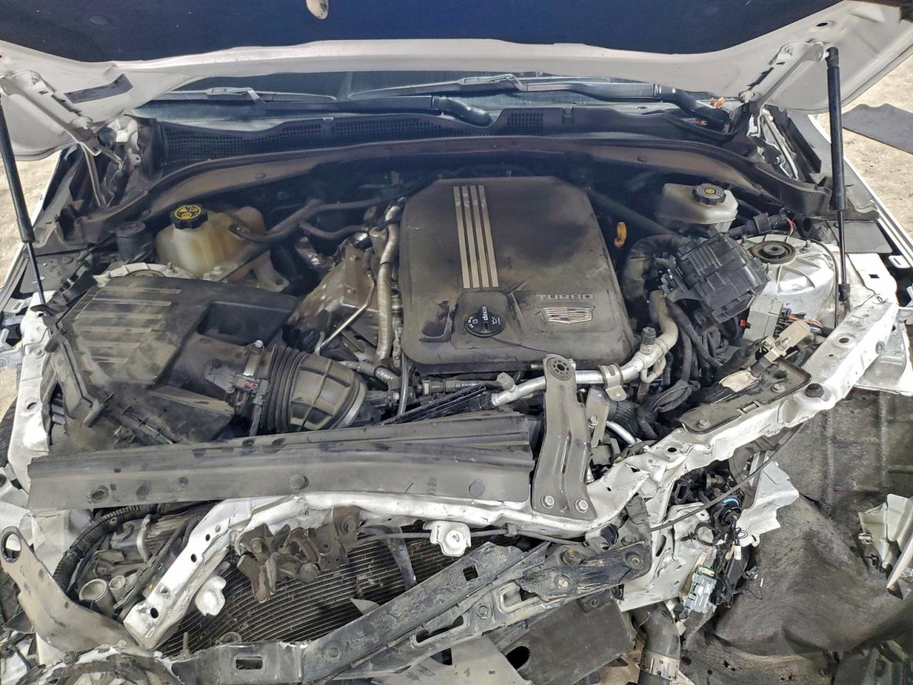 Cadillac CT4 Luxury Image 10