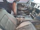 Ford Mustang Image 4