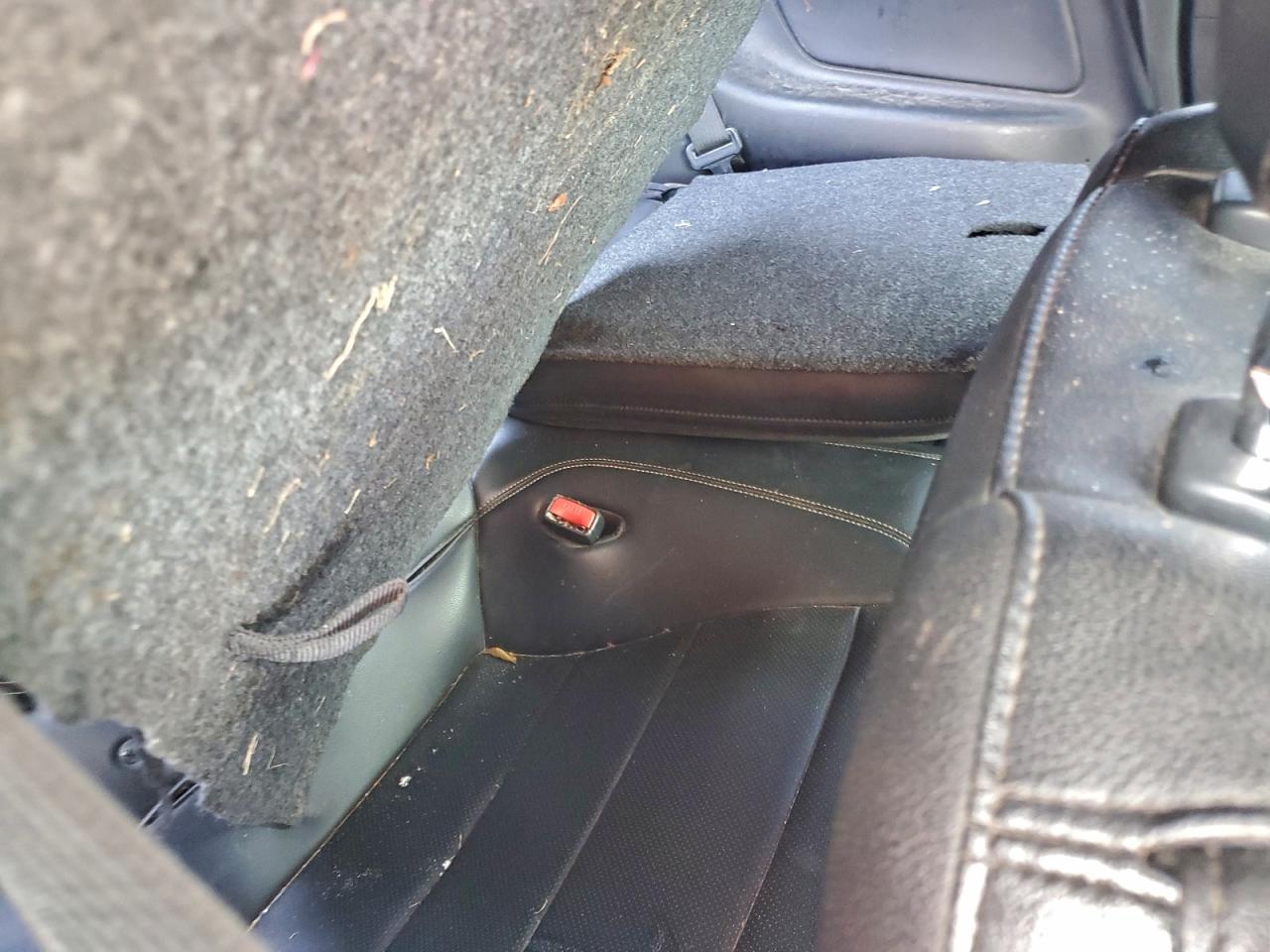 Ford Mustang Image 2