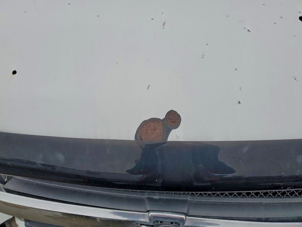 Chevrolet Trailblazer Ls Image 7