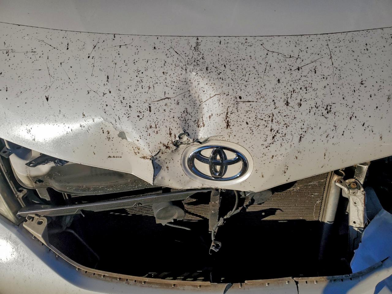 Toyota Sienna Xle Image 10